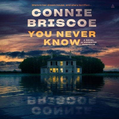 You Never Know: A Novel of Domestic Suspense by Briscoe, Connie