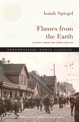 Flames from the Earth: A Novel from the Lódz Ghetto by Levinson, Julian