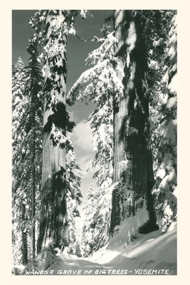 Vintage Journal Wawona Grove of Big Trees, Yosemite by Found Image Press