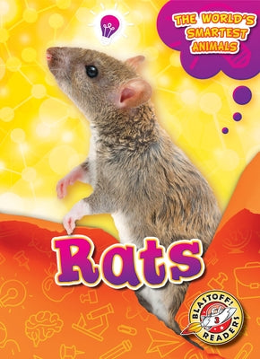 Rats by Mattern, Joanne