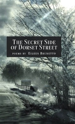 The Secret Side of Dorset Street by Brunetto, Eileen