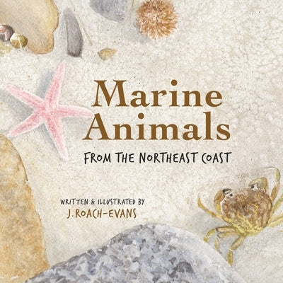 Marine Animals: from the Northeast Coast by Oliveira, Erin M.