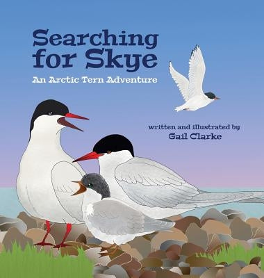 Searching for Skye: An Arctic Tern Adventure by Clarke, Gail