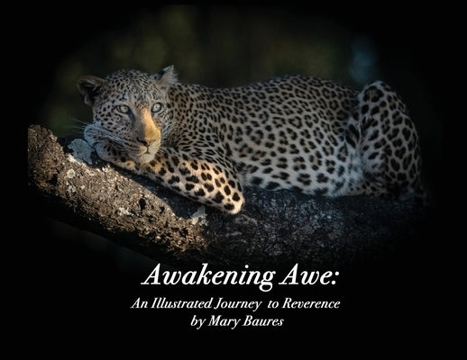 Awakening Awe: An Illustrated Journey to Reverence by Baures, Mary