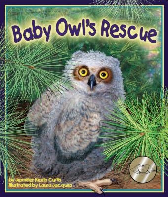 Baby Owl's Rescue by Curtis, Jennifer Keats