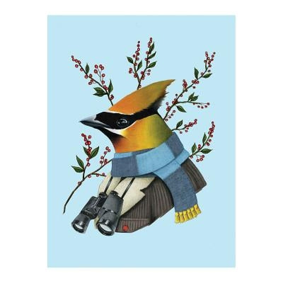 Berkley Bestiary Winter Waxwing Large Embellished Holiday Notecards by Galison