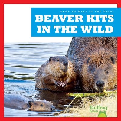 Beaver Kits in the Wild by Chanez, Katie