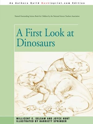 A First Look at Dinosaurs by Hunt, Joyce