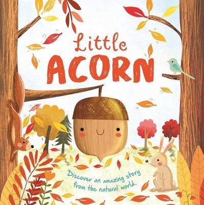 Nature Stories: Little Acorn: Padded Board Book by Igloobooks