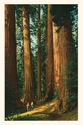 The Vintage Journal Sequoia Trees by Found Image Press