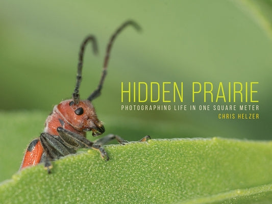 Hidden Prairie: Photographing Life in One Square Meter by Helzer, Chris