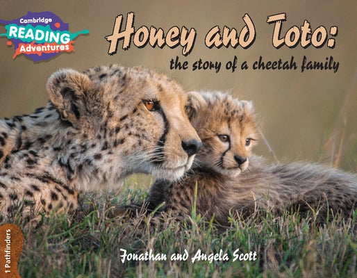 Cambridge Reading Adventures Honey and Toto: The Story of a Cheetah Family 1 Pathfinders by Scott, Jonathan And Angela