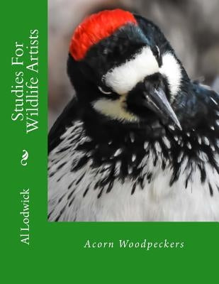 Acorn Woodpeckers: Studies For Wildlife Artists by Lodwick, Al