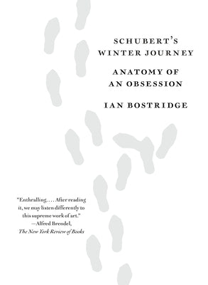 Schubert's Winter Journey: Anatomy of an Obsession by Bostridge, Ian