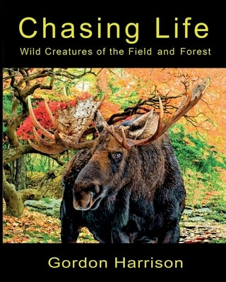 Chasing Life: Wild Creatures of the Field and Forest by Harrison, Gordon