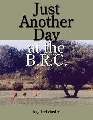 Just Another Day at the B.R.C. by Delmastro, Ray