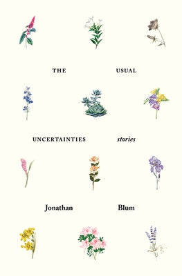 The Usual Uncertainties: Stories by Blum, Jonathan