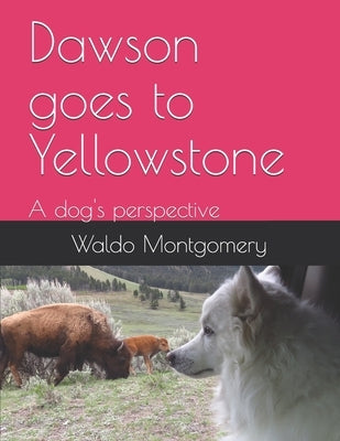 Dawson goes to Yellowstone by Montgomery, Waldo Wilburn, Jr.