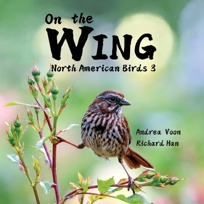 On the Wing - North American Birds 3 by Voon, Andrea