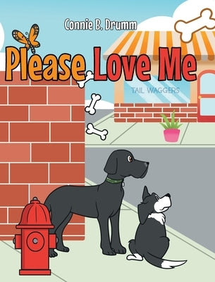 Please Love Me by Drumm, Connie B.