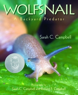 Wolfsnail: A Backyard Predator by Campbell, Sarah C.