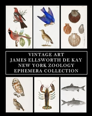 Vintage Art: James Ellsworth De Kay: New York Zoology: Ephemera Collection by Press, Vintage Revisited