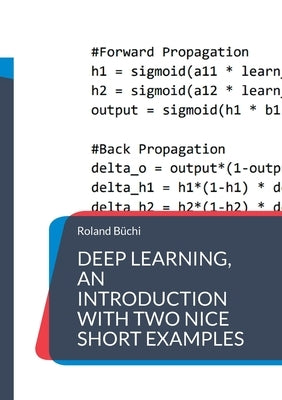 Deep Learning, an introduction with two nice short examples by Büchi, Roland