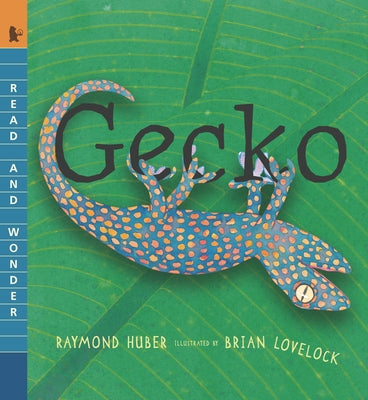 Gecko by Huber, Raymond