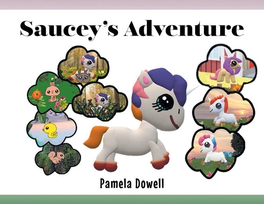 Saucey's Adventure by Dowell, Pamela