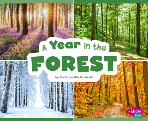 A Year in the Forest by Gardeski, Christina MIA