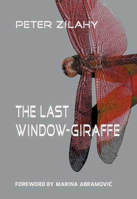 The Last Window-Giraffe by Wilkinson, Tim