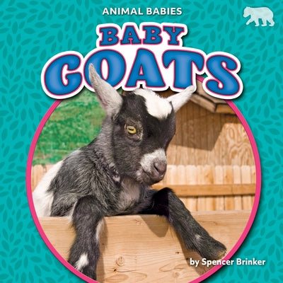 Baby Goats by Brinker, Spencer