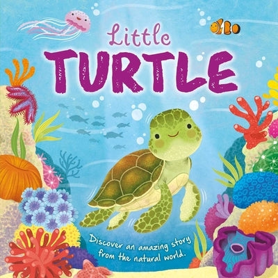 Nature Stories: Little Turtle: Padded Board Book by Igloobooks