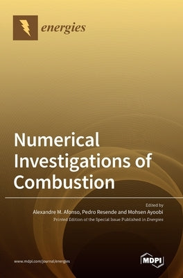 Numerical Investigations of Combustion by Afonso, Alexandre M.