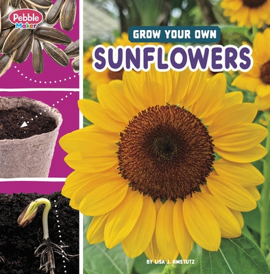 Grow Your Own Sunflowers by Amstutz, Lisa J.