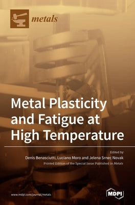 Metal Plasticity and Fatigue at High Temperature by Novak, Jelena Srnec