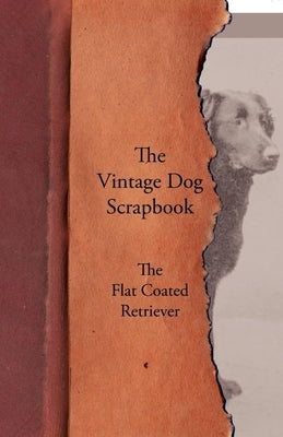 The Vintage Dog Scrapbook - The Flat Coated Retriever by Various