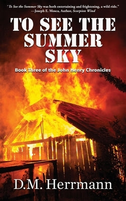 To See the Summer Sky: Book Three of the John Henry Chronicles by Herrmann, D. M.