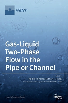 Gas-Liquid Two-Phase Flow in the Pipe or Channel by Pakhomov, Maksim