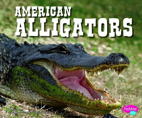 American Alligators by Potts, Steve