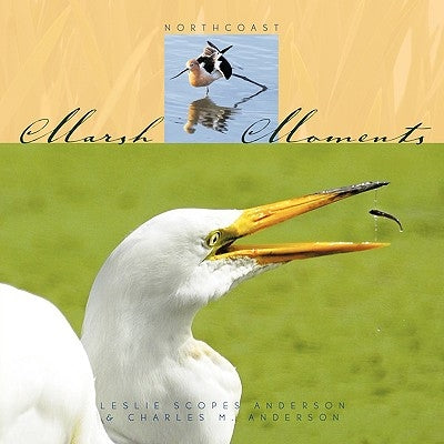 Marsh Moments: Northcoast by Leslie Scopes Anderson