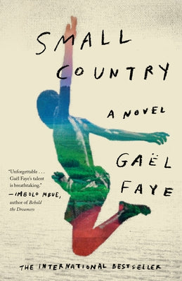 Small Country: Small Country: A Novel by Faye, Ga?