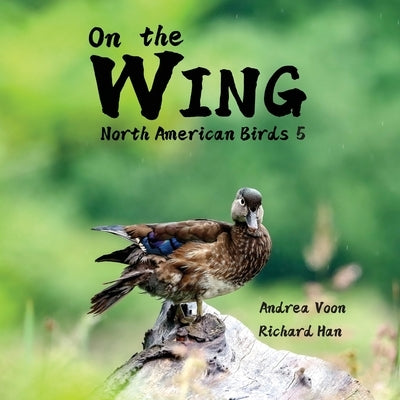 On the Wing - North American Birds 5 by Voon, Andrea