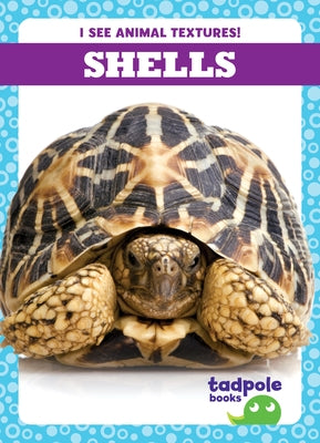 Shells by Gleisner, Jenna Lee