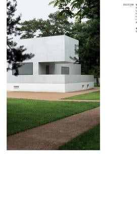 The New Masters' Houses in Dessau, 1925-2014: Debates, Positions, Contexts: Edition Bauhaus 46 by Stierli, Martino