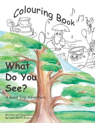 What Do You See?: Colouring Book by Booth Briscoe, Laura