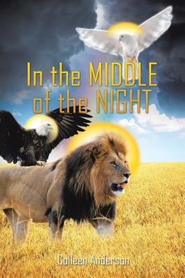 In the Middle of the Night by Anderson, Colleen