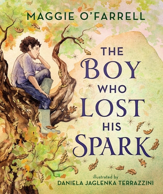 The Boy Who Lost His Spark by O'Farrell, Maggie