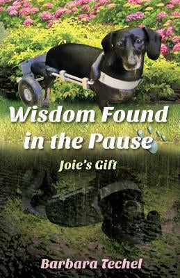 Wisdom Found in the Pause: Joie's Gift by Techel, Barbara