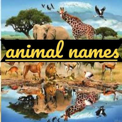 Animal names: Types of animals by Mhand, Zitaou